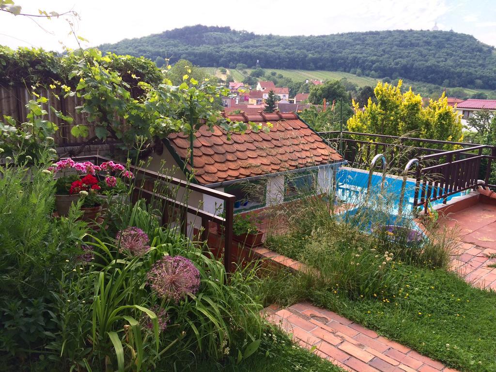 Pension Crhan Mikulov Εξωτερικό φωτογραφία